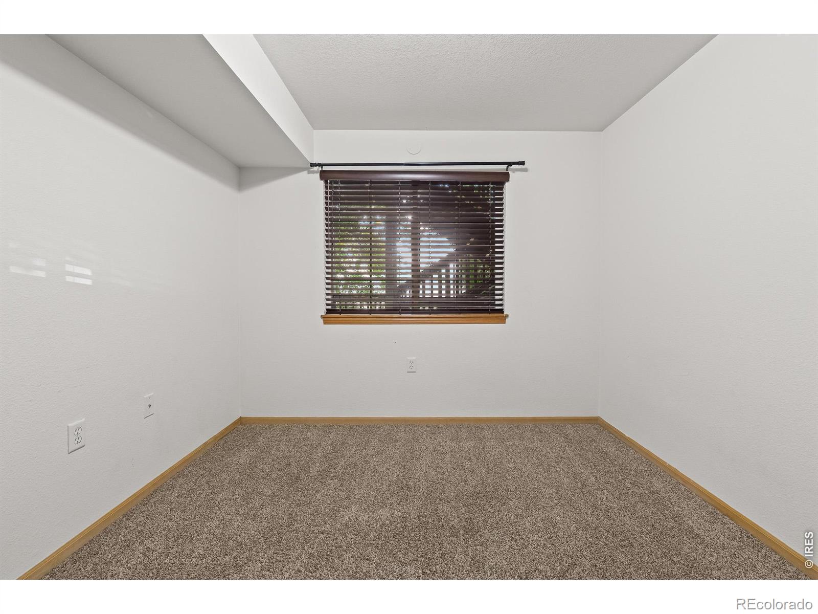 1221 University Avenue Fort Collins CO 80521