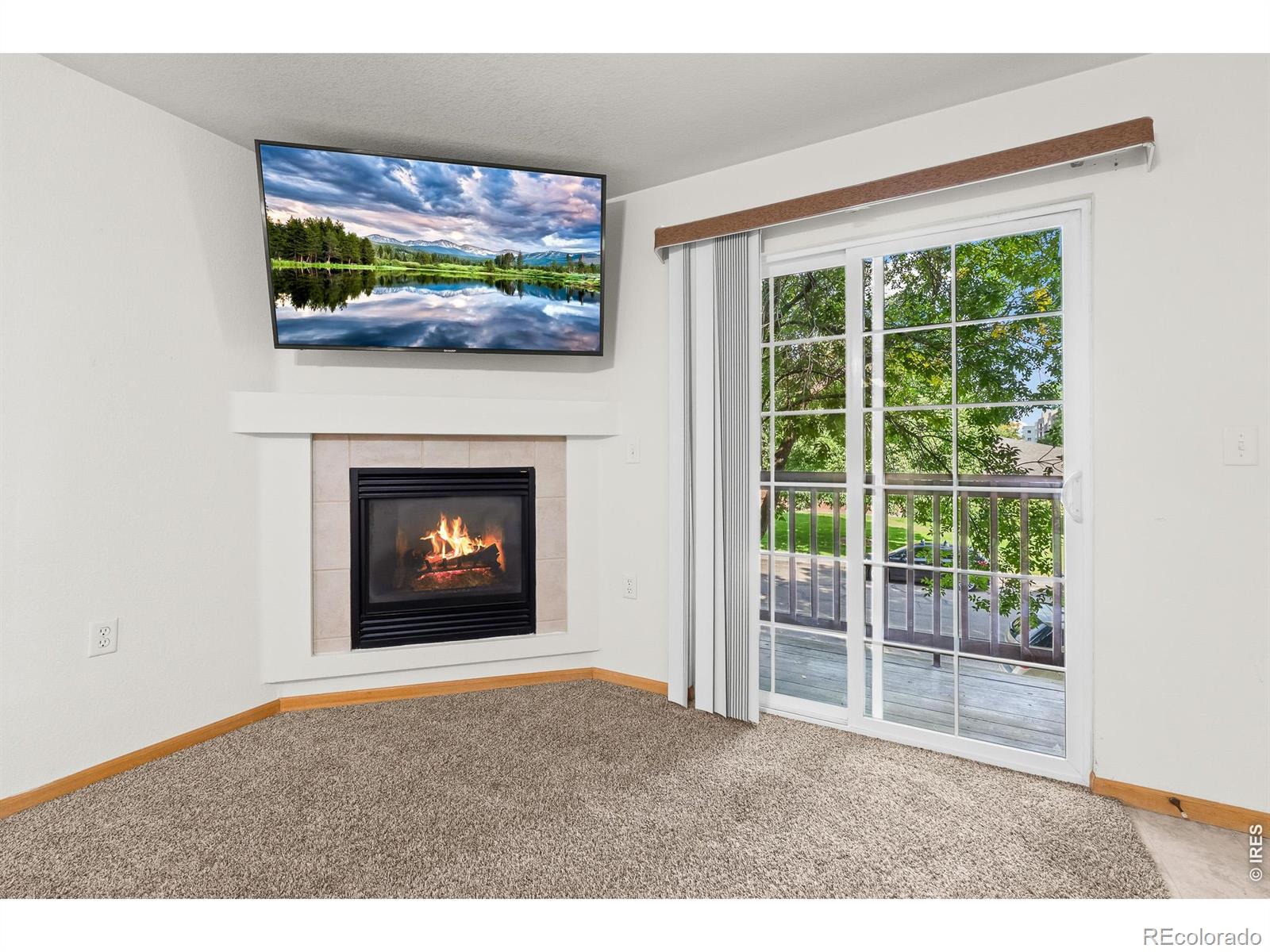 1221 University Avenue Fort Collins CO 80521