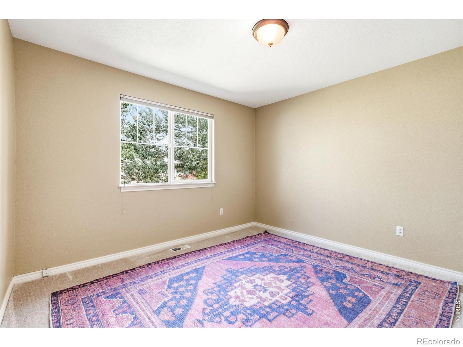 828 Kane Drive Longmont CO 80501