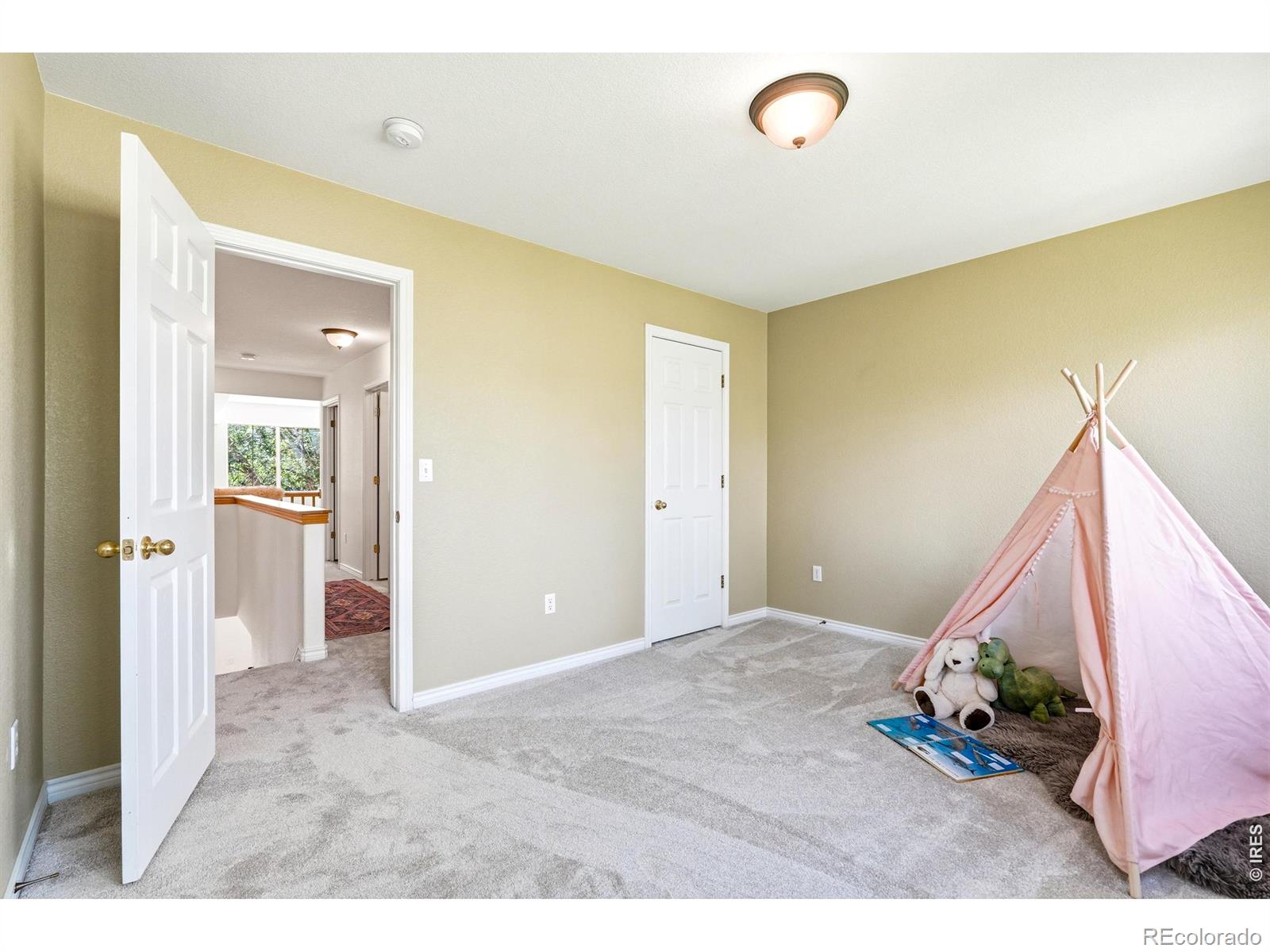 828 Kane Drive Longmont CO 80501