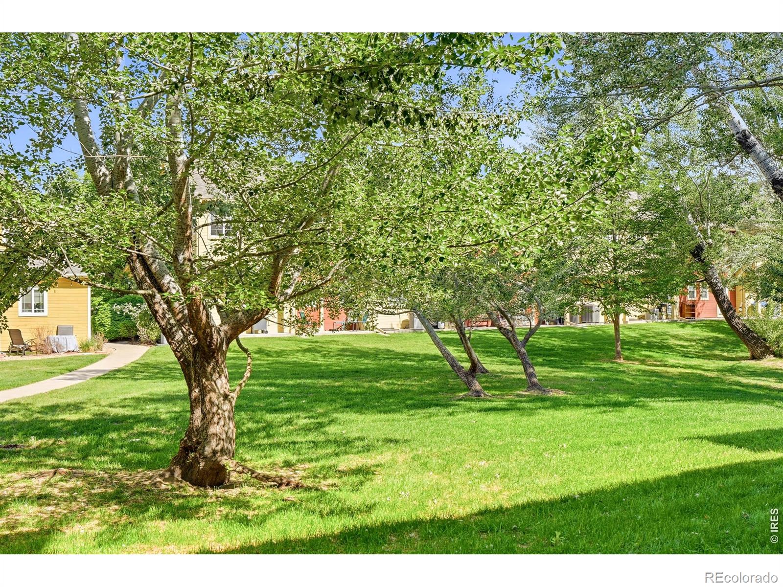 828 Kane Drive Longmont CO 80501