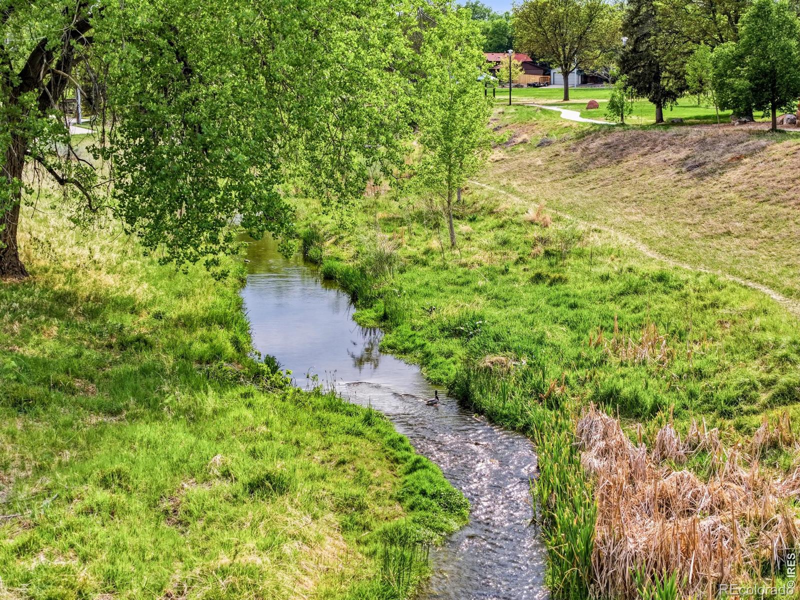 828 Kane Drive Longmont CO 80501