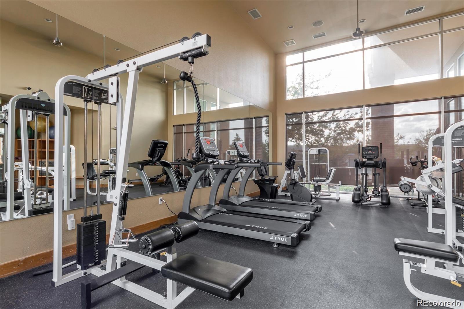 10184 Park Meadows Drive Lone Tree CO 80124