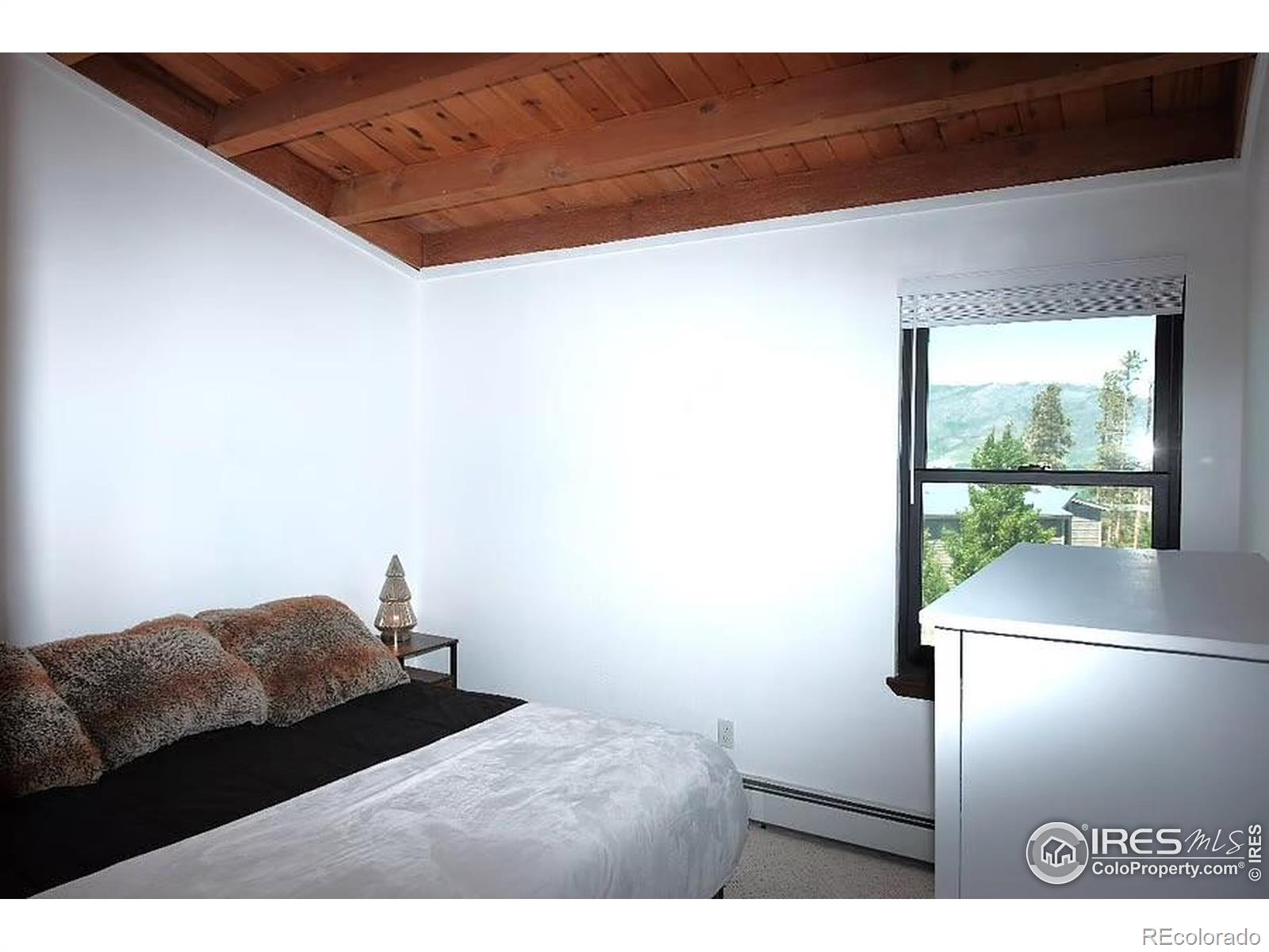 8500 Ryan Gulch Road Silverthorne CO 80498