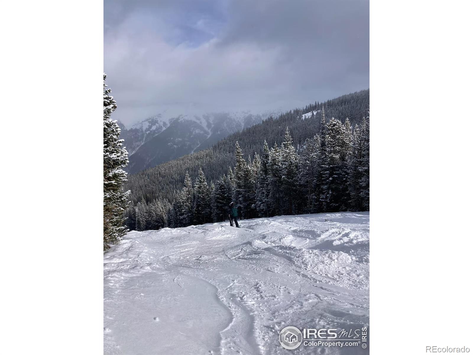 8500 Ryan Gulch Road Silverthorne CO 80498
