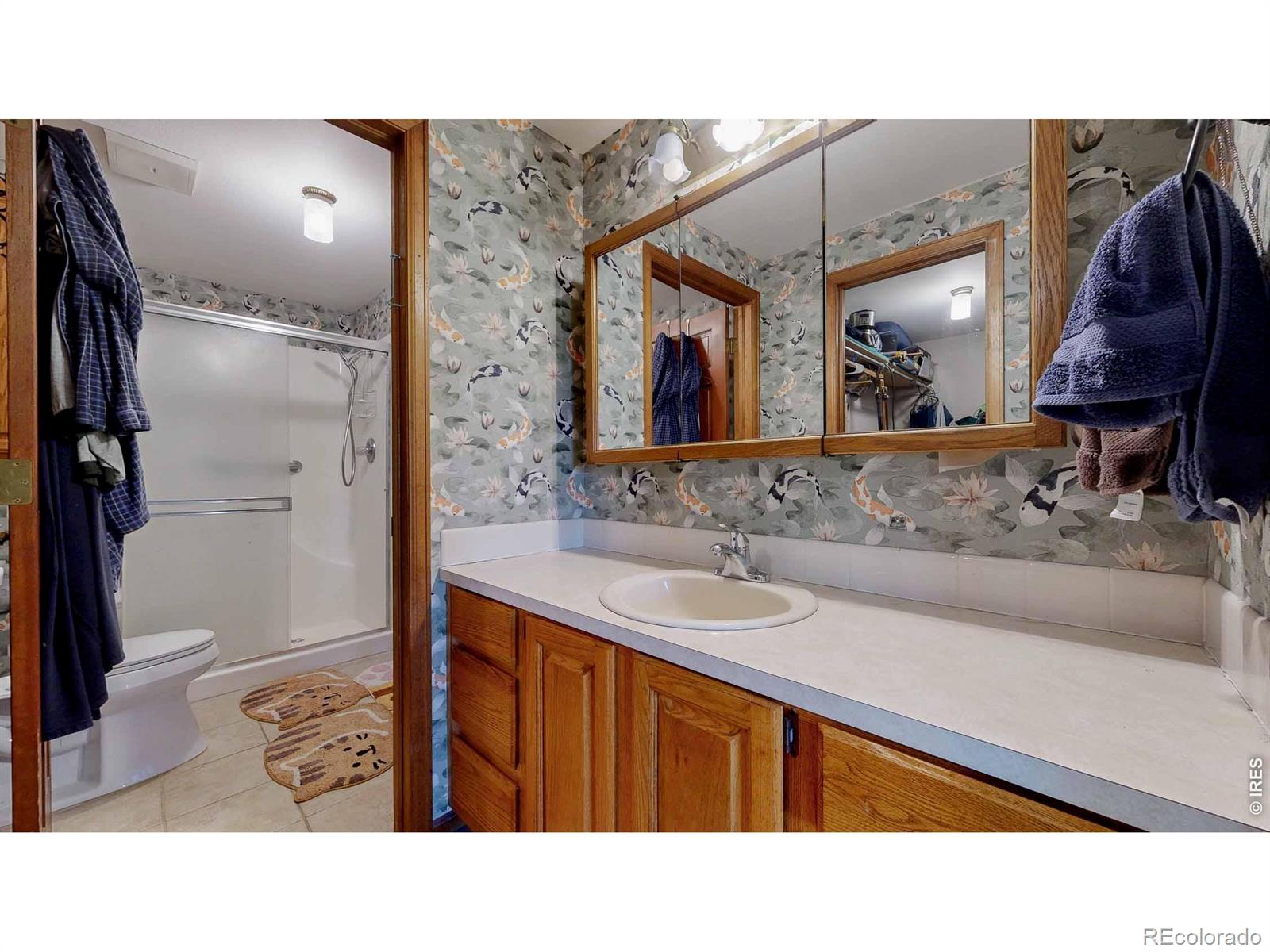 1534 W 28th Street Loveland CO 80538
