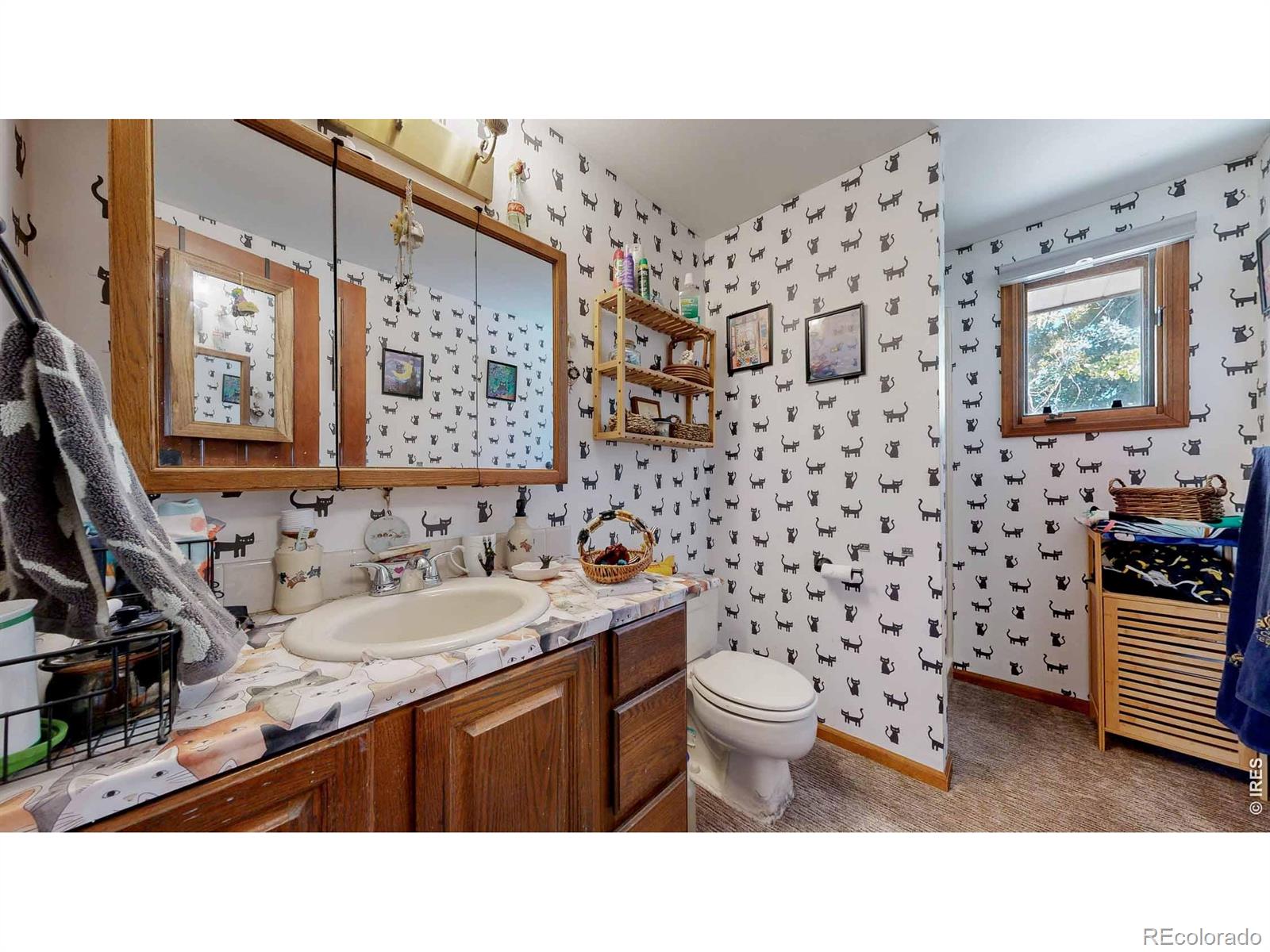 1534 W 28th Street Loveland CO 80538