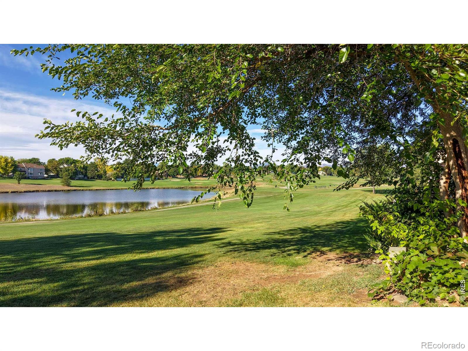 1534 W 28th Street Loveland CO 80538