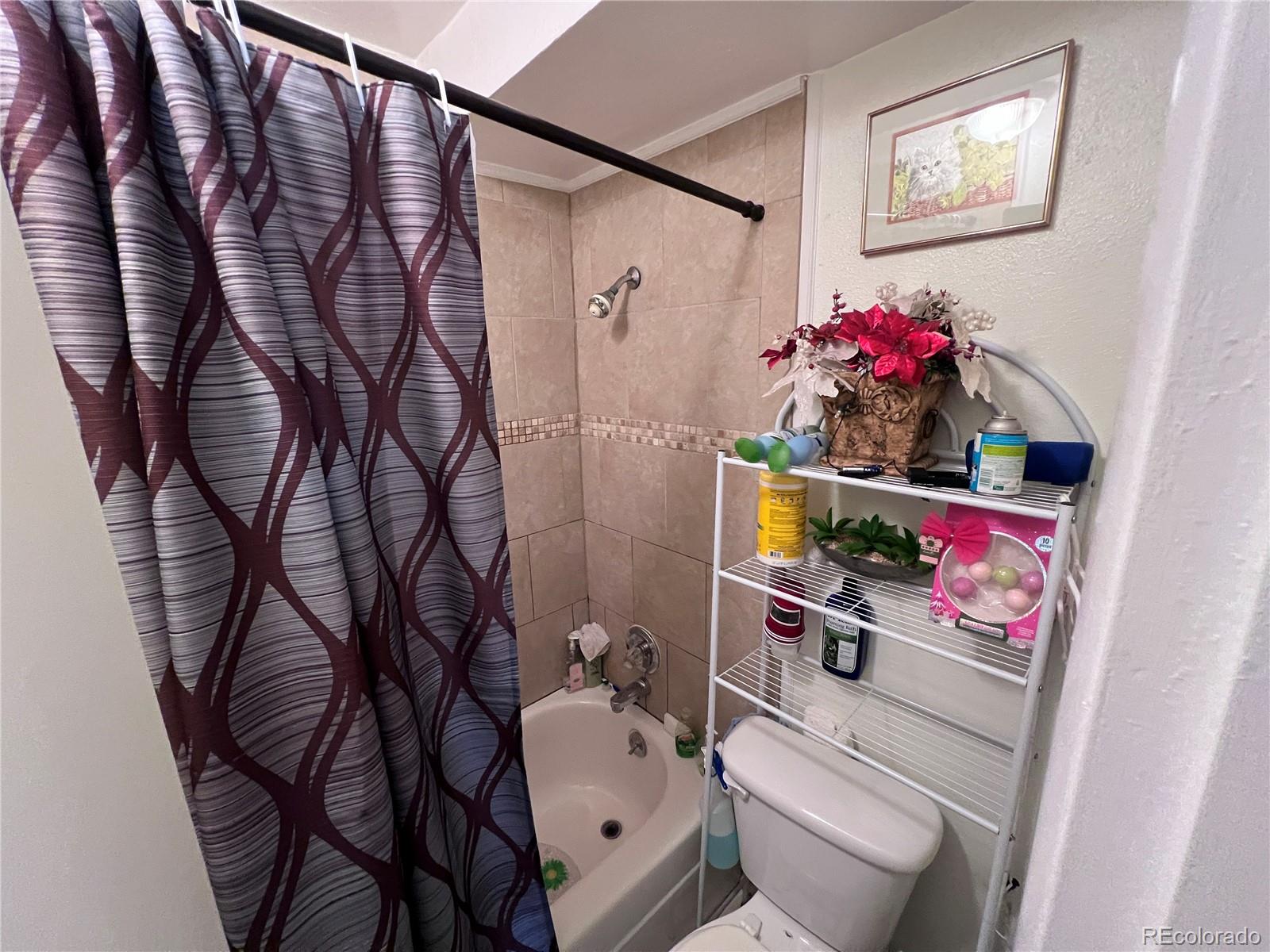 330 E La Bonte Street Dillon CO 80435