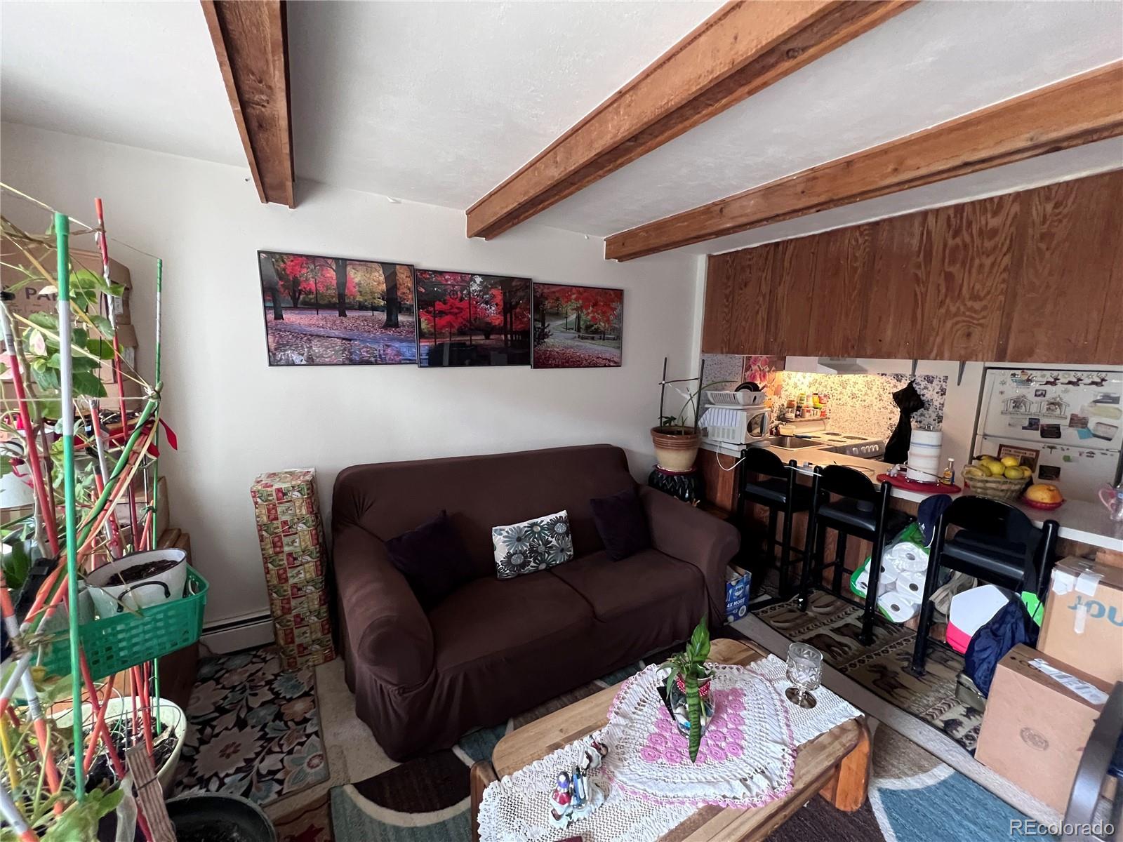 330 E La Bonte Street Dillon CO 80435