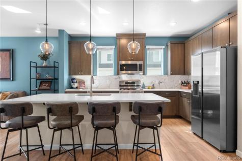 16351 Askins Loop Parker CO 80134