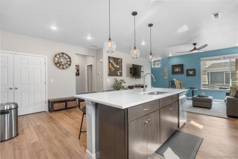 16351 Askins Loop Parker CO 80134