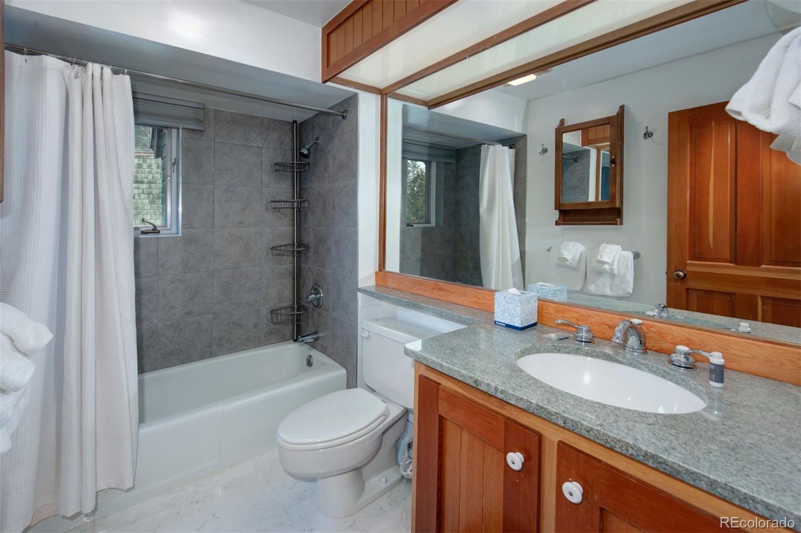 352 Wild Irishman Road Keystone CO 80435
