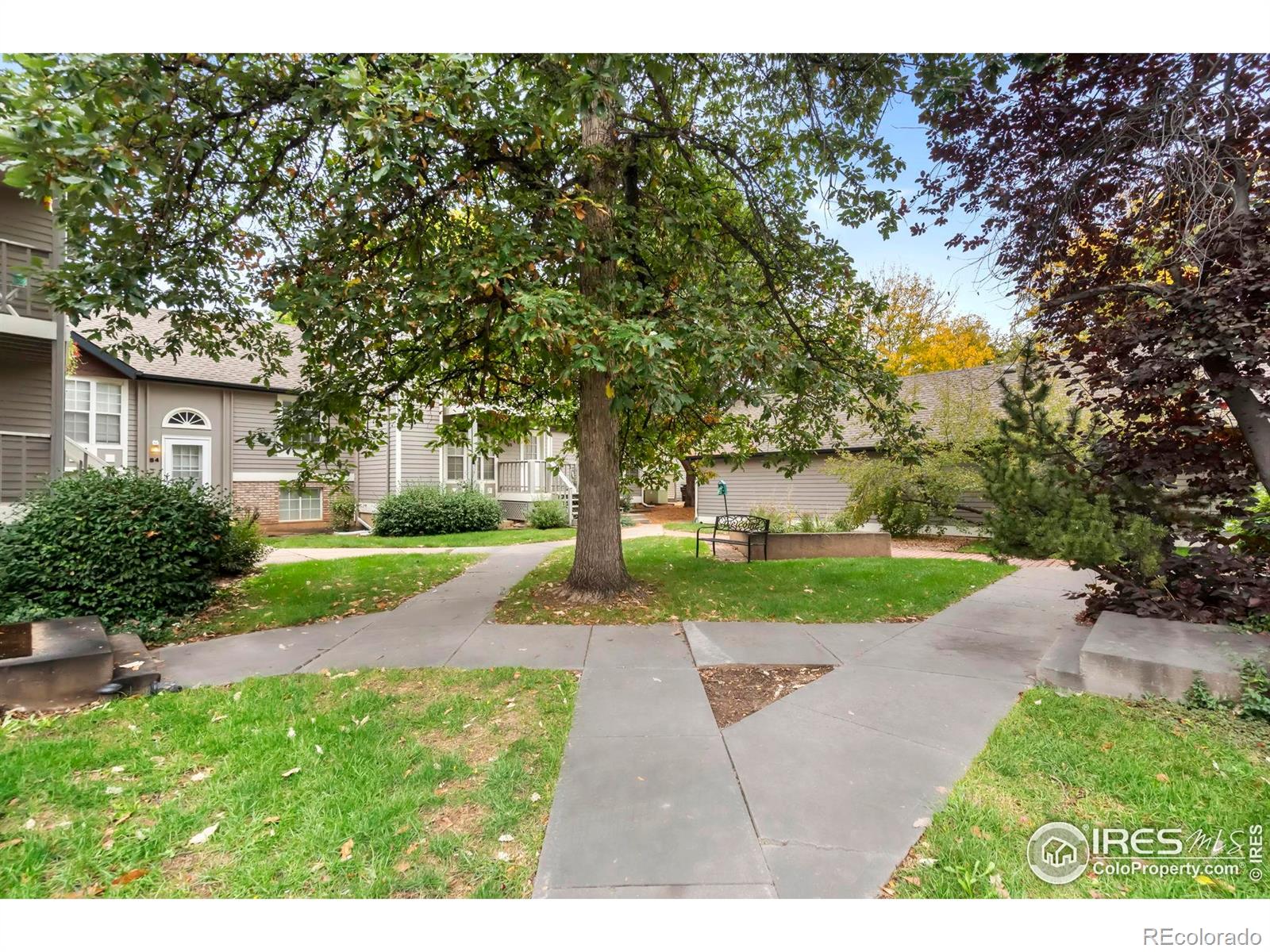 2828 Silverplume Drive Fort Collins CO 80526