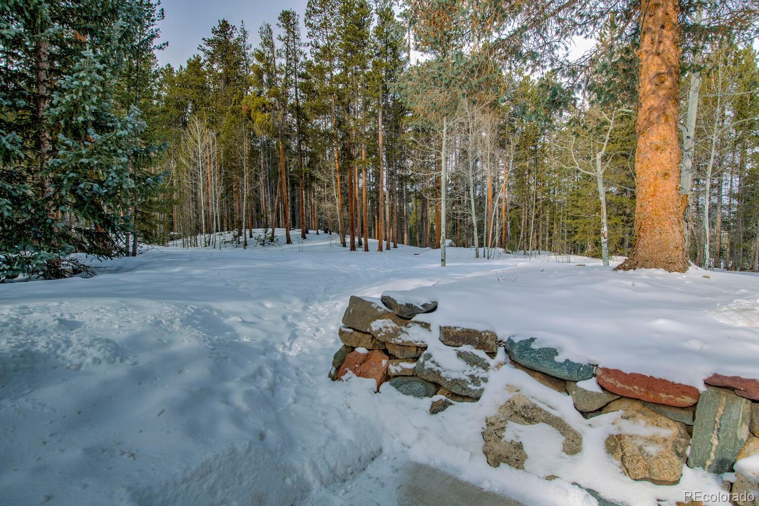 9379 State Highway 9 Breckenridge CO 80424