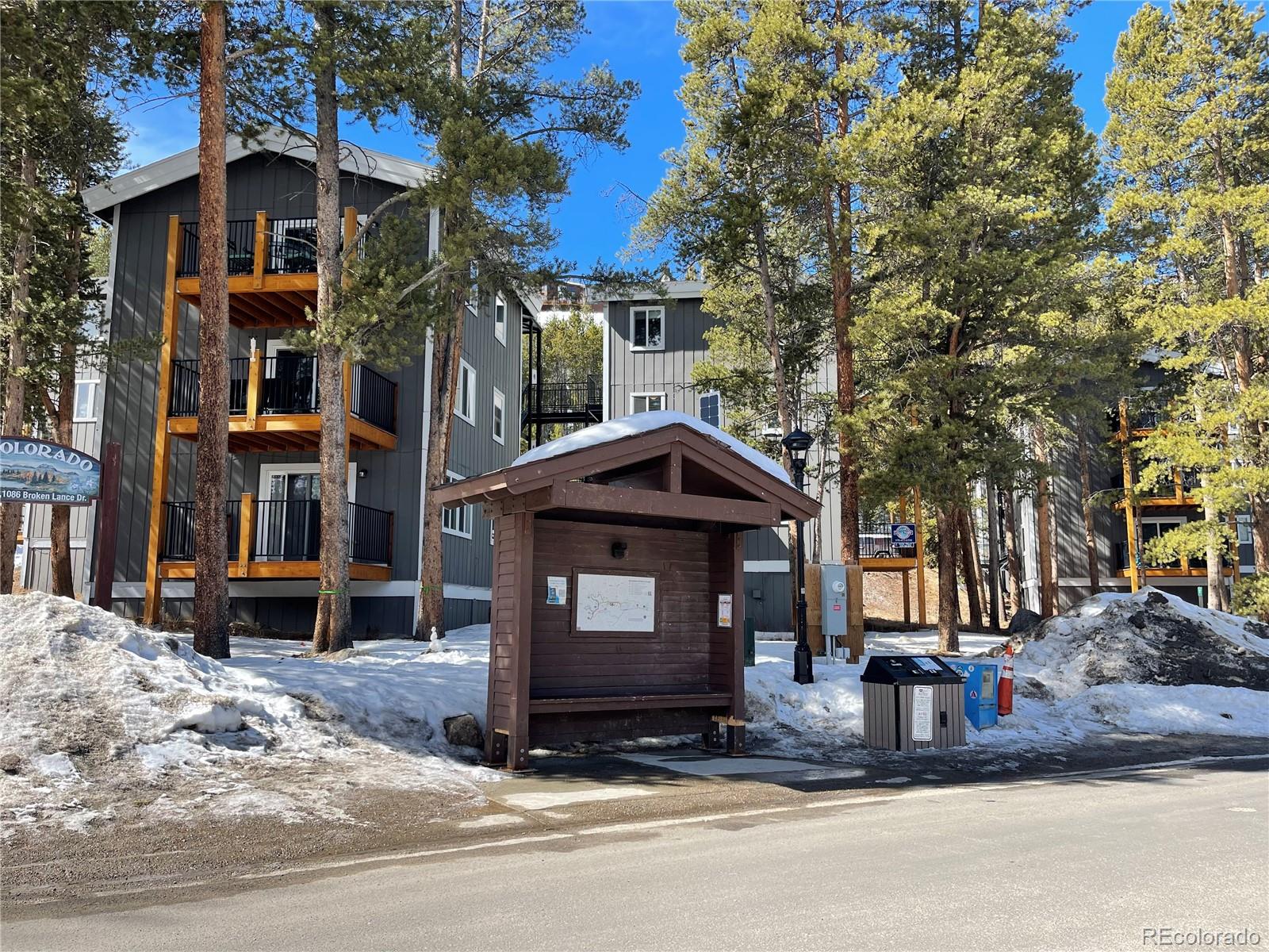 70 Now Colorado Court Breckenridge CO 80424