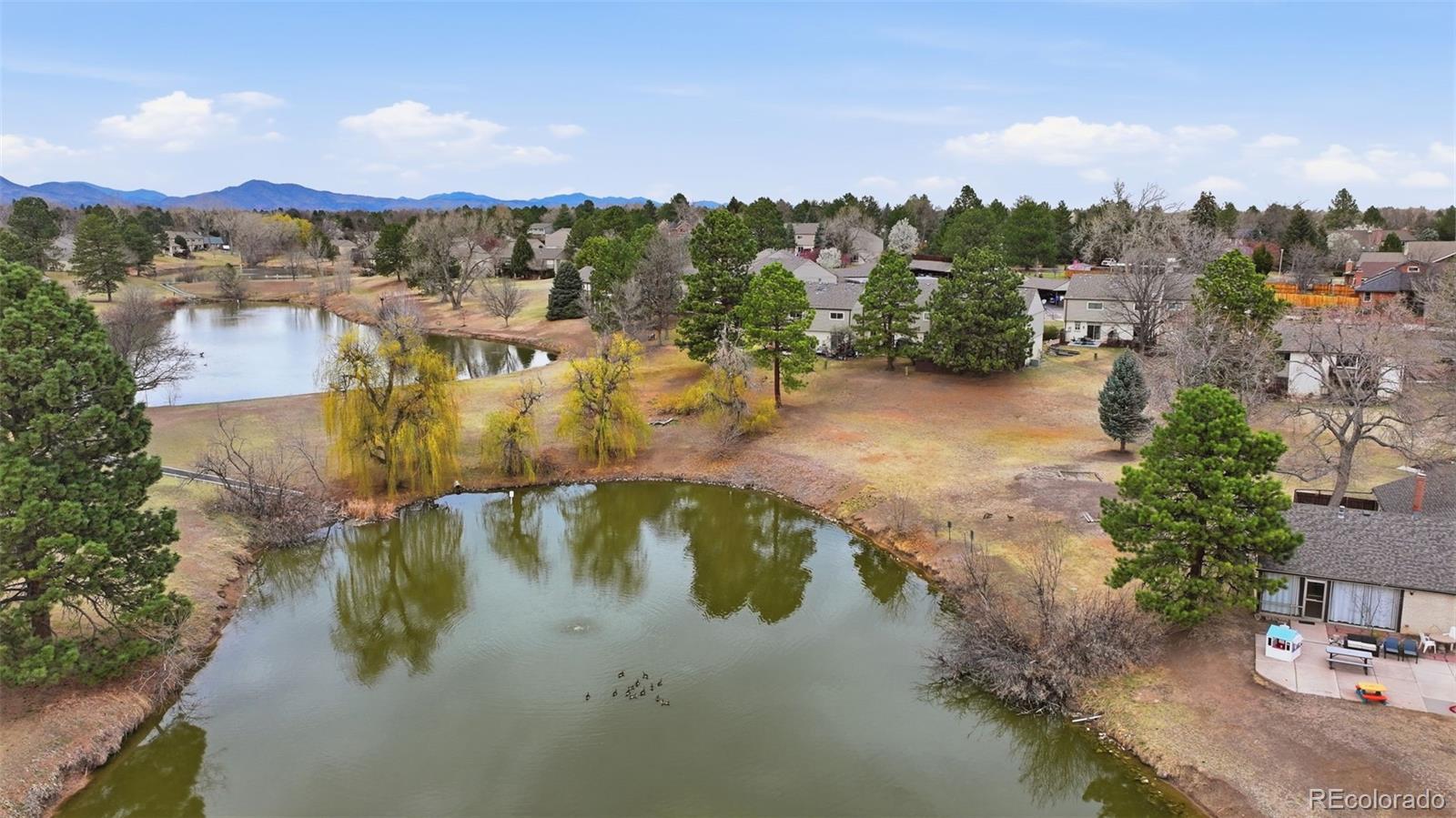 4234 W Pondview Drive Littleton CO 80123