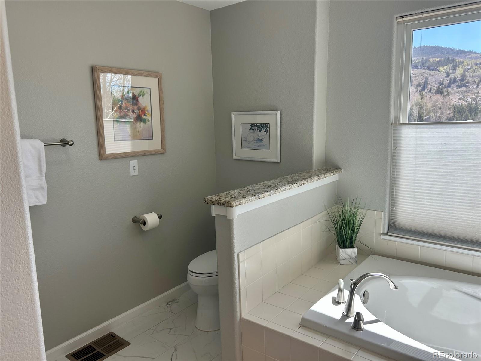 114 Robin Drive Silverthorne CO 80498
