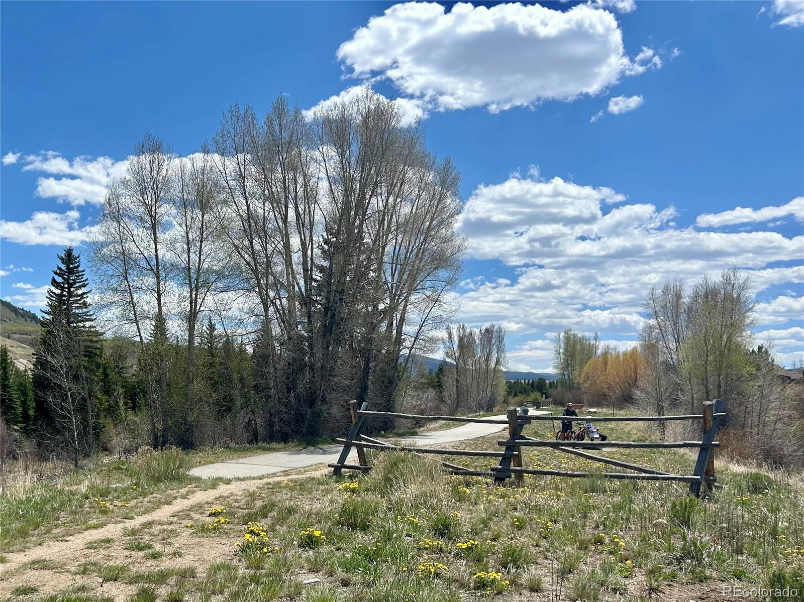 114 Robin Drive Silverthorne CO 80498