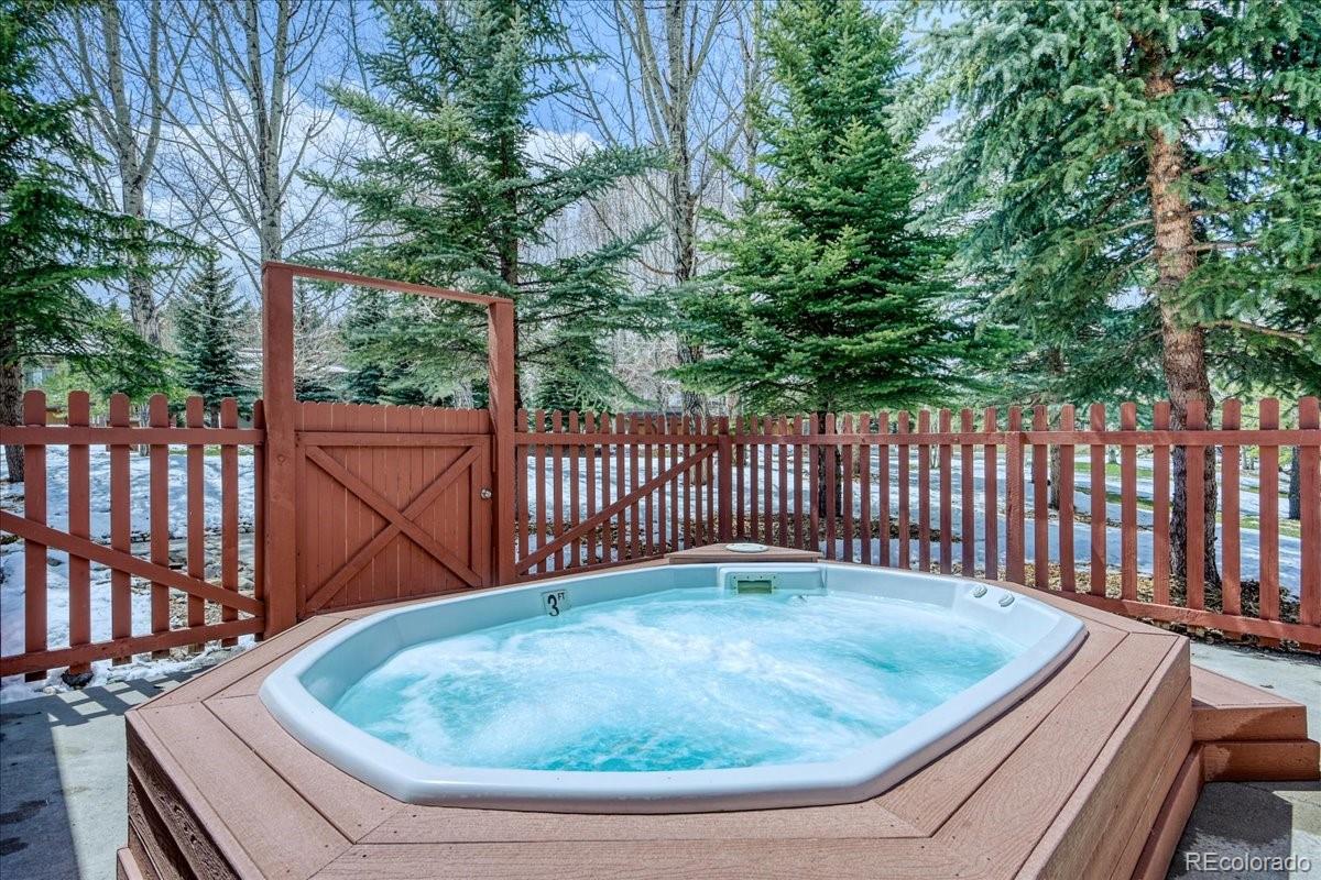 203 Pelican Circle Breckenridge CO 80424