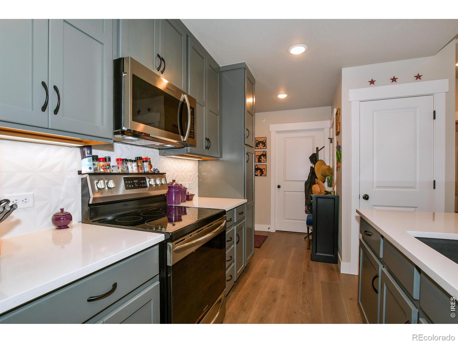 3425 Triano Creek Drive Loveland CO 80538