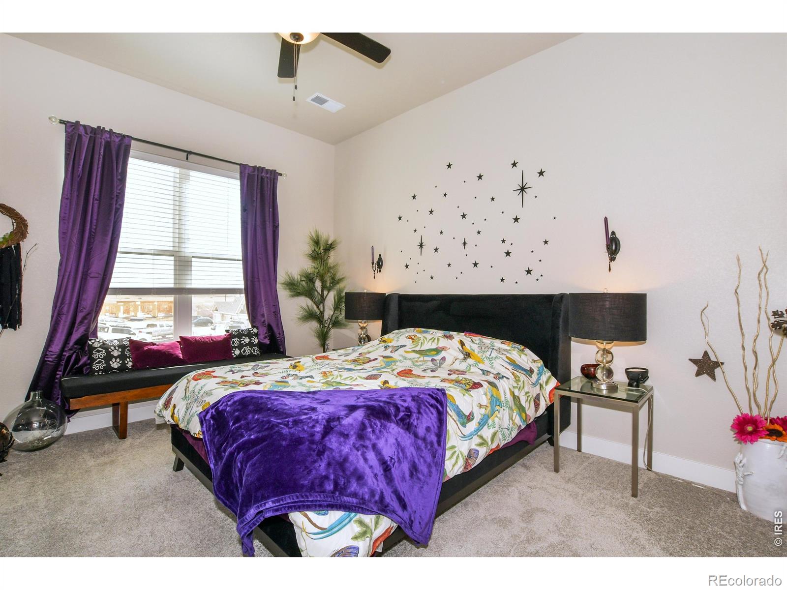 3425 Triano Creek Drive Loveland CO 80538