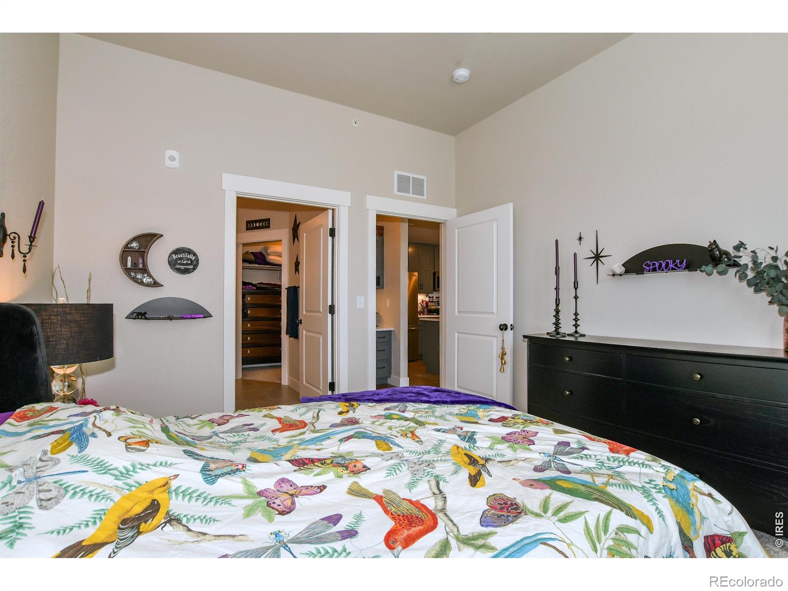 3425 Triano Creek Drive Loveland CO 80538