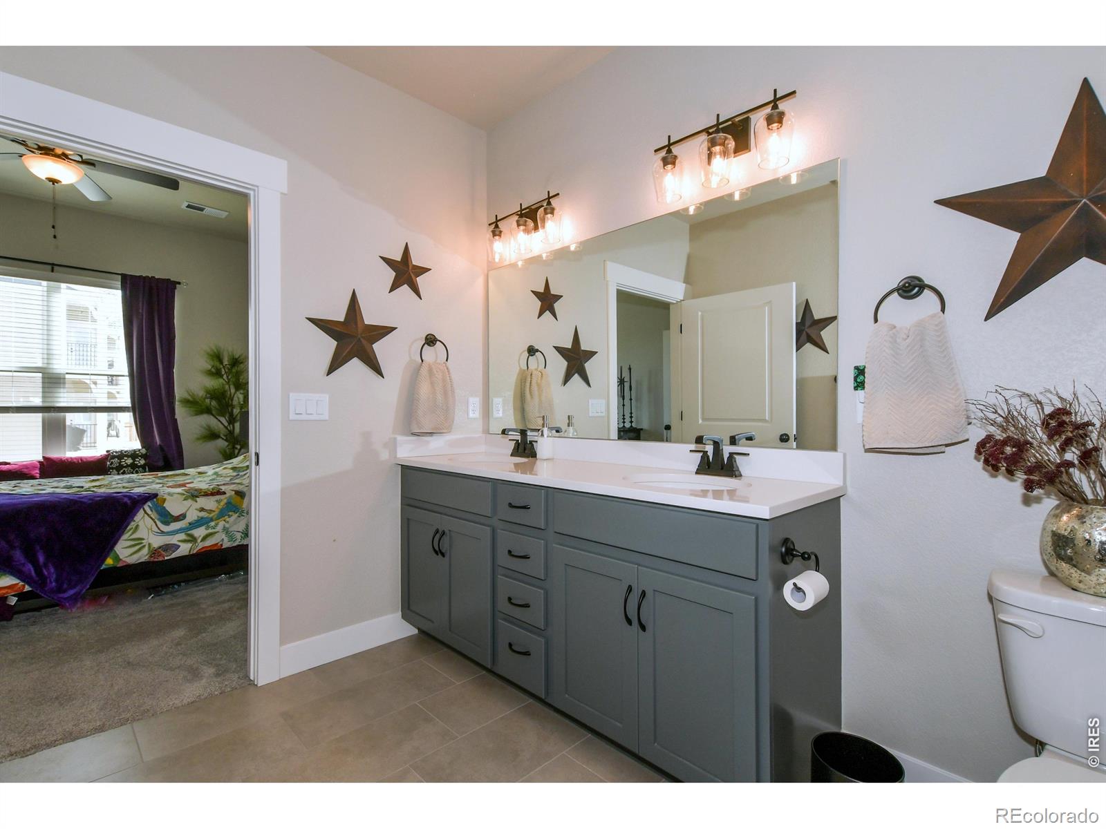 3425 Triano Creek Drive Loveland CO 80538