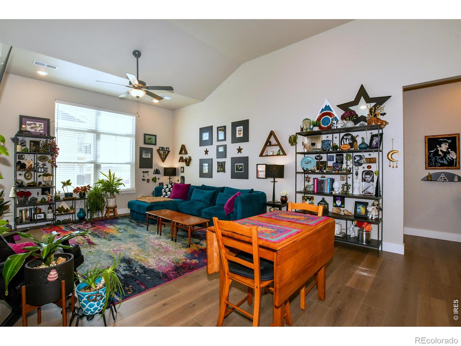 3425 Triano Creek Drive Loveland CO 80538