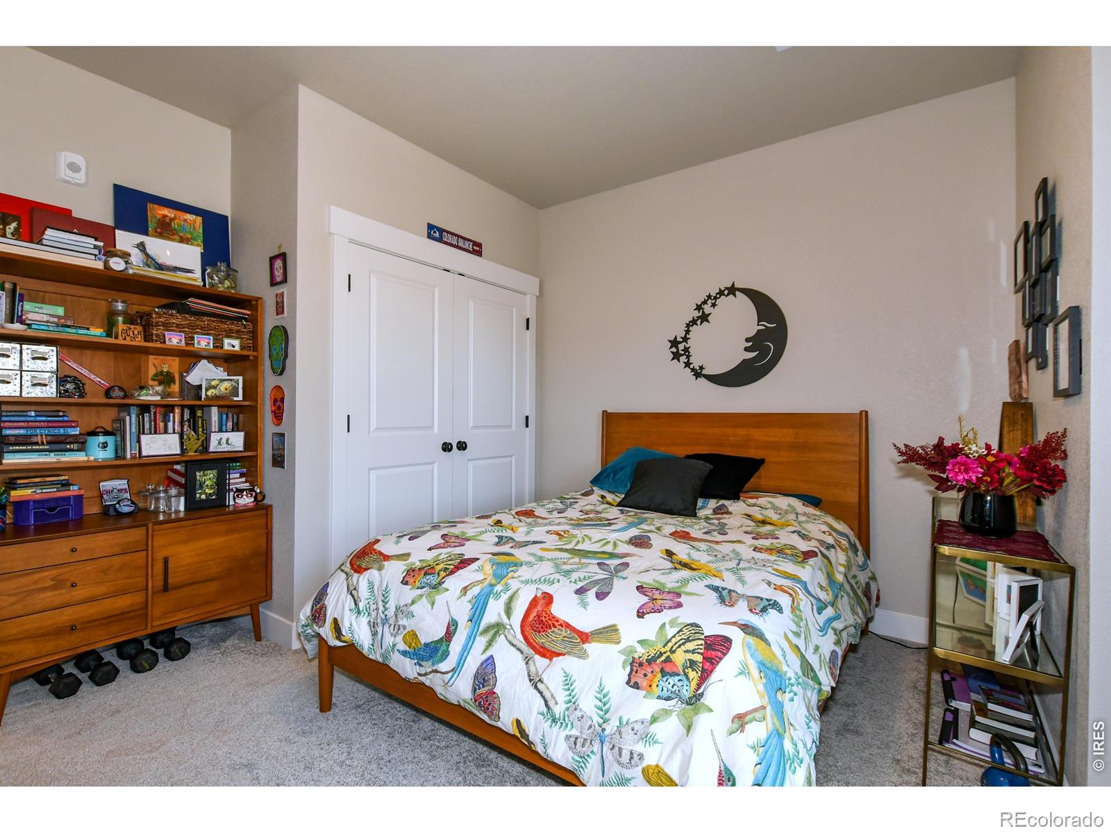 3425 Triano Creek Drive Loveland CO 80538
