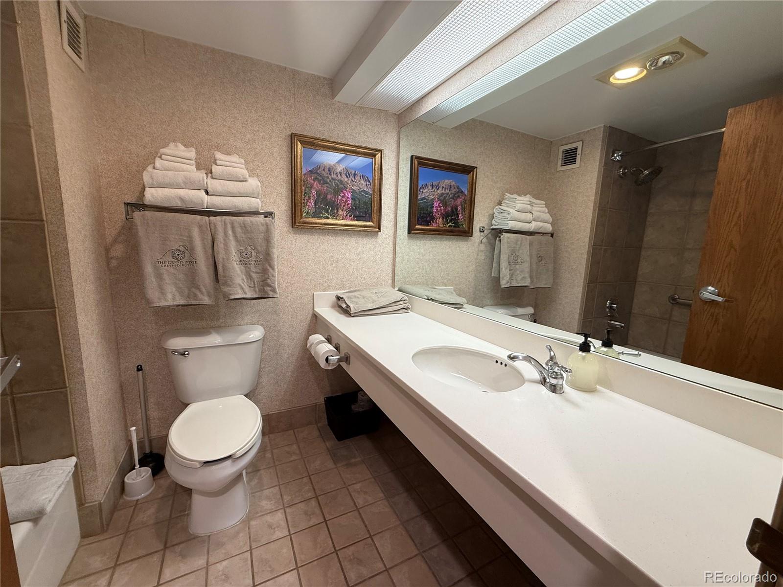 6 Emmons Road Mt Crested Butte CO 81225