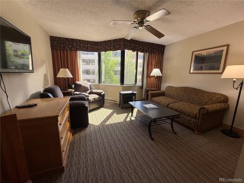 6 Emmons Road Mt Crested Butte CO 81225