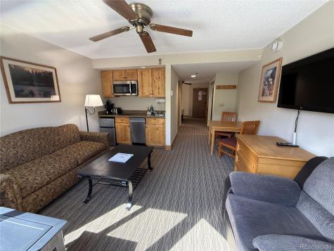 6 Emmons Road Mt Crested Butte CO 81225