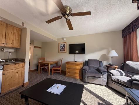 6 Emmons Road Mt Crested Butte CO 81225