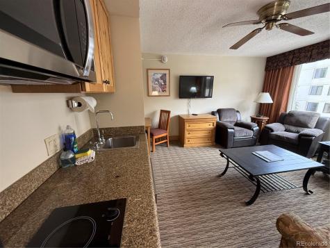 6 Emmons Road Mt Crested Butte CO 81225