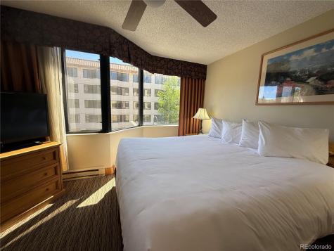 6 Emmons Road Mt Crested Butte CO 81225