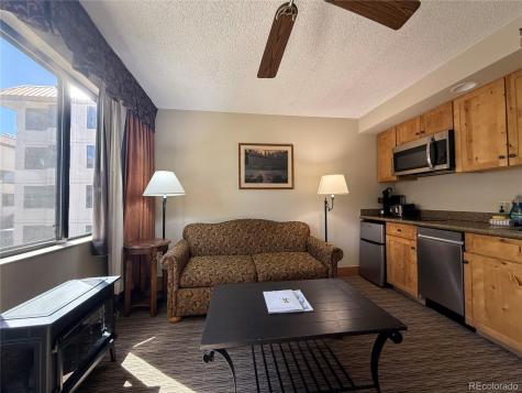 6 Emmons Road Mt Crested Butte CO 81225