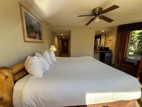 6 Emmons Road Mt Crested Butte CO 81225