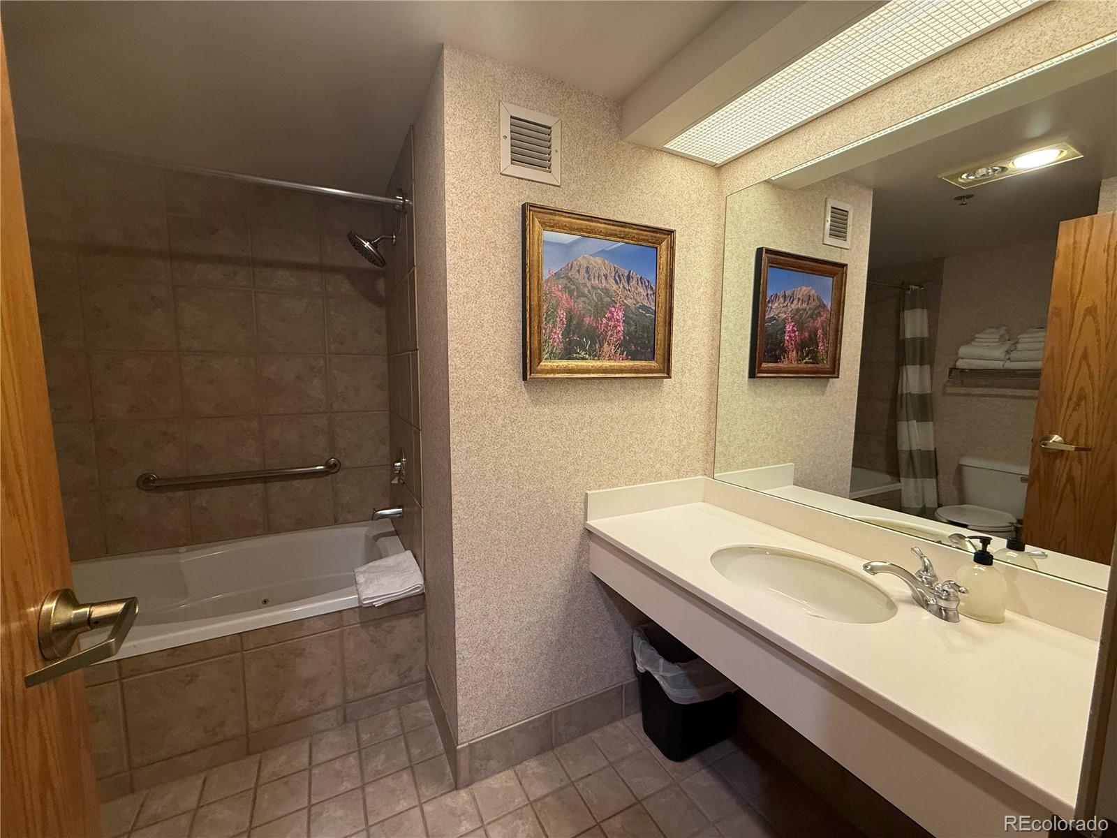 6 Emmons Road Mt Crested Butte CO 81225