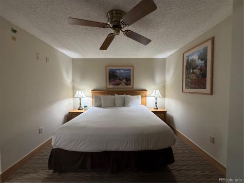 6 Emmons Road Mt Crested Butte CO 81225