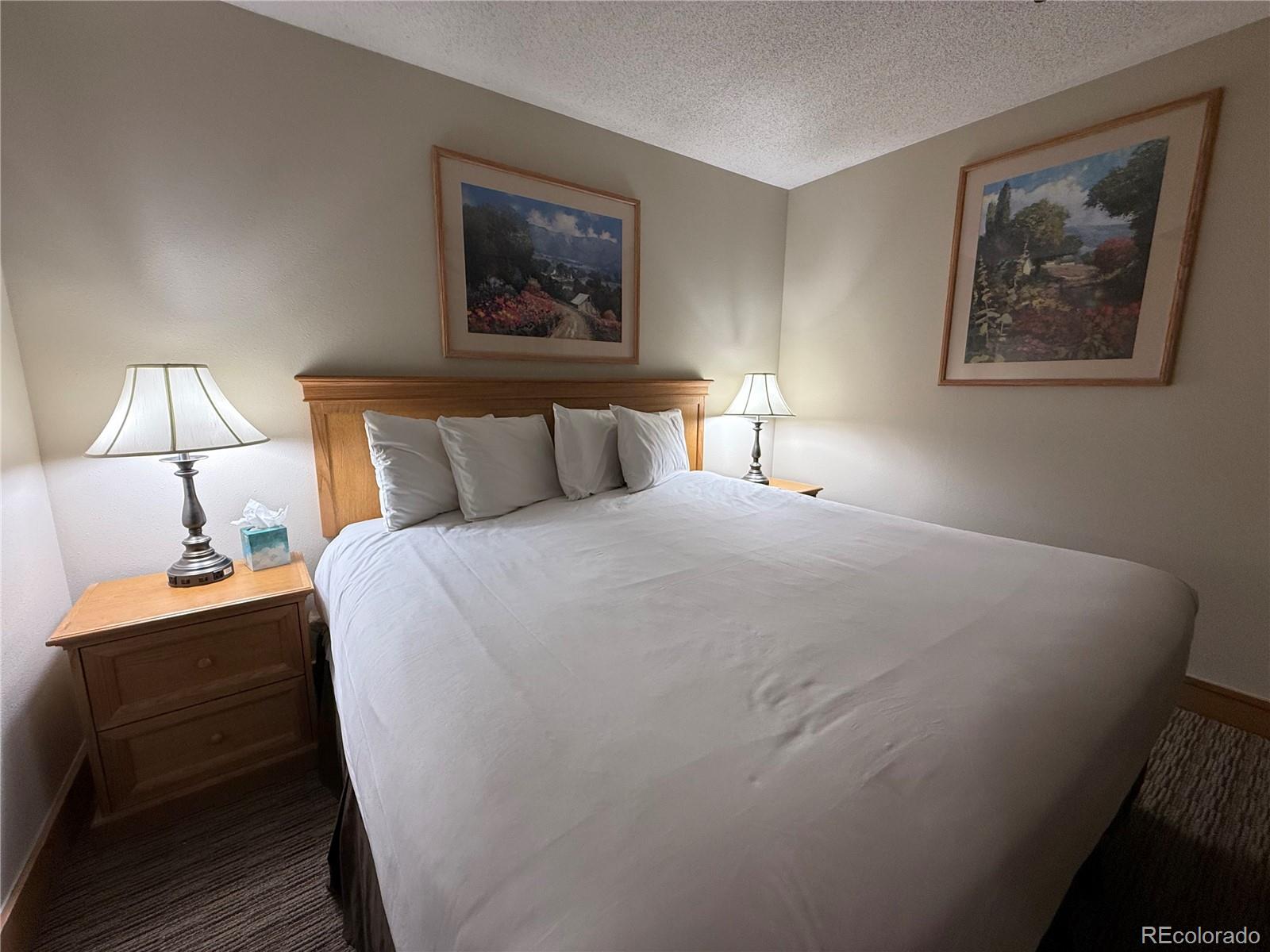 6 Emmons Road Mt Crested Butte CO 81225