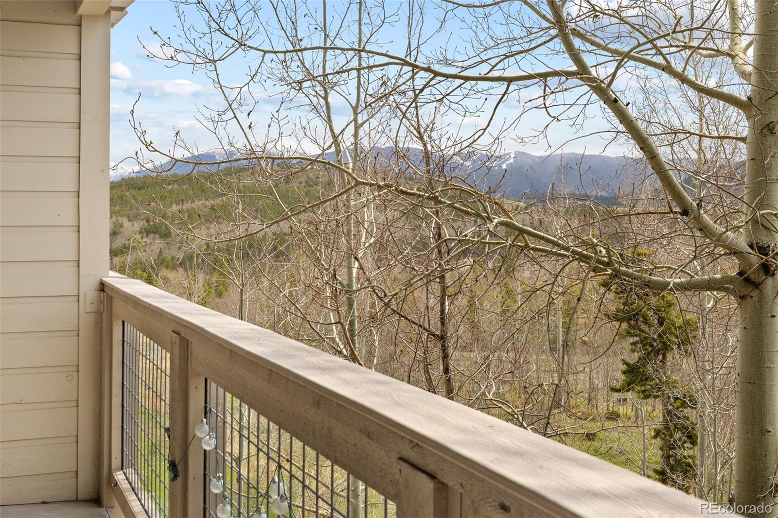 4626 Ryan Gulch Road Silverthorne CO 80498