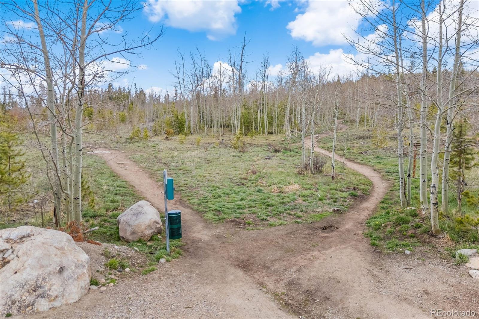 4626 Ryan Gulch Road Silverthorne CO 80498