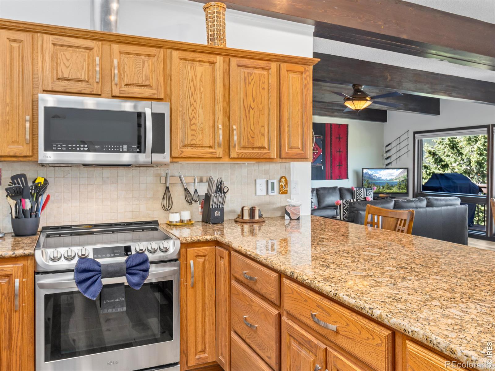 1426 St Moritz Trail Estes Park CO 80517