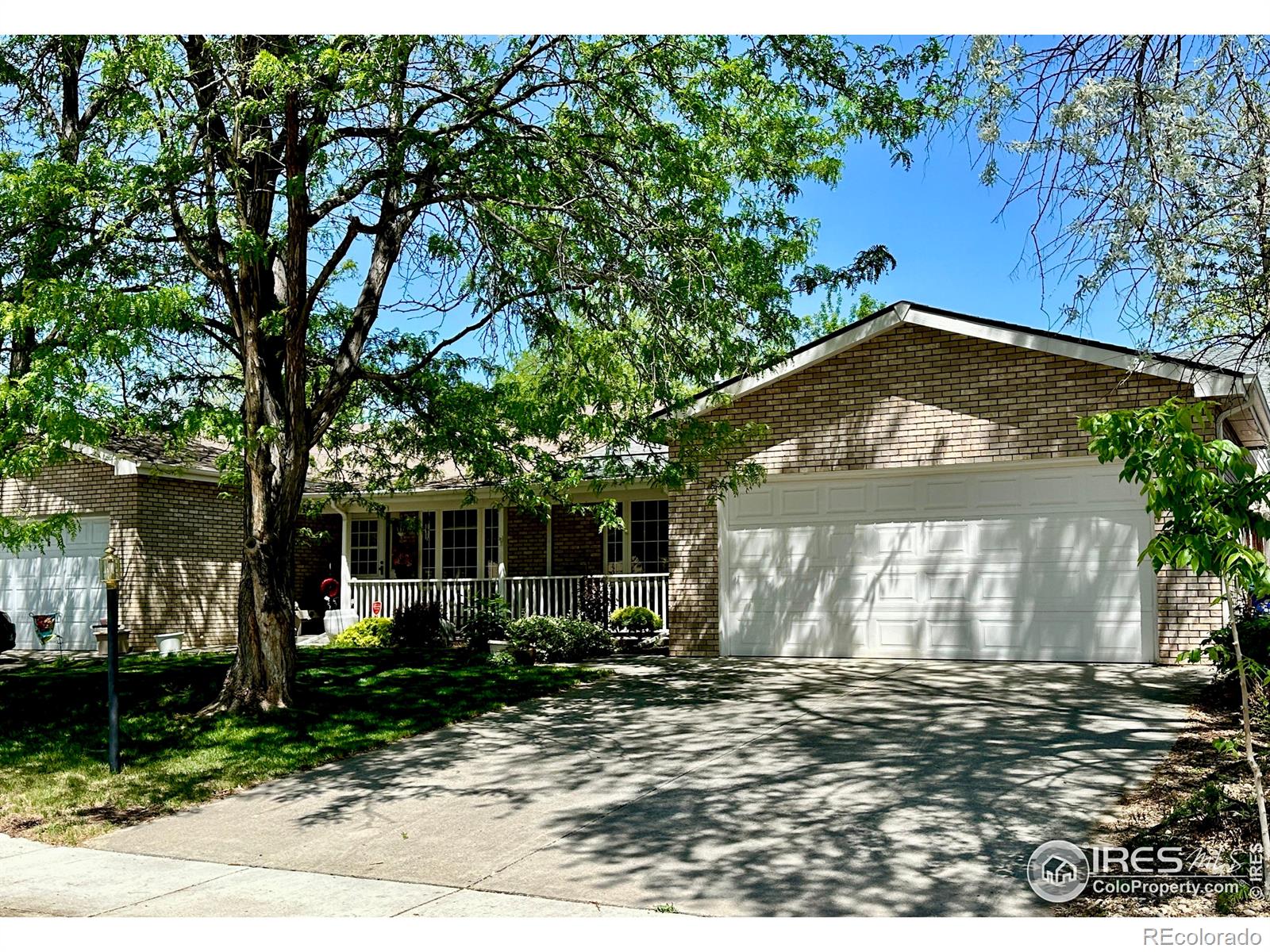 1649 E 17th Street Loveland CO 80538