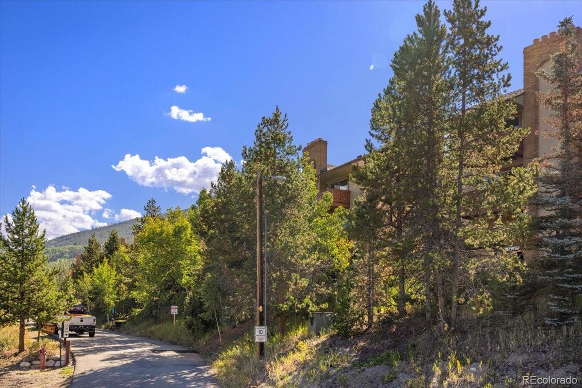 110 Evergreen Road Dillon CO 80435
