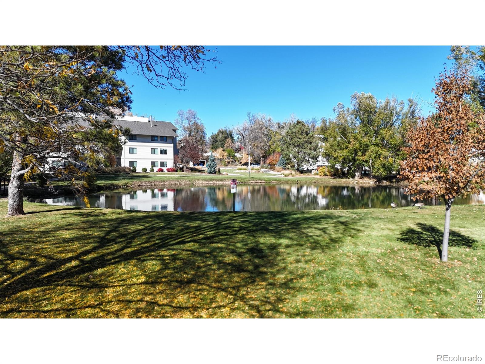 1705 Heatheridge Road Fort Collins CO 80526