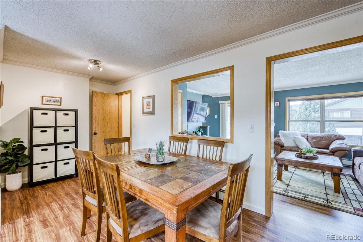 746 W Anemone Trail Dillon CO 80435