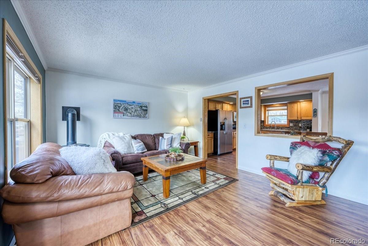 746 W Anemone Trail Dillon CO 80435