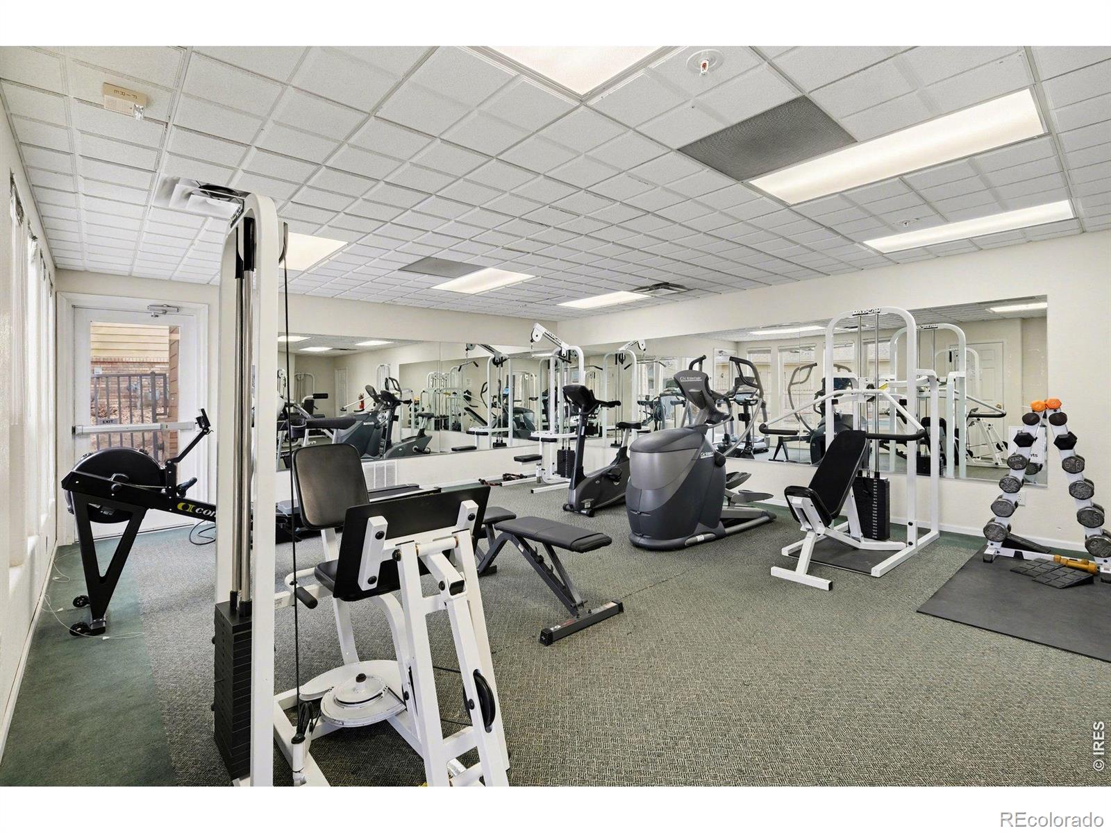 2702 Rigden Parkway Fort Collins CO 80525